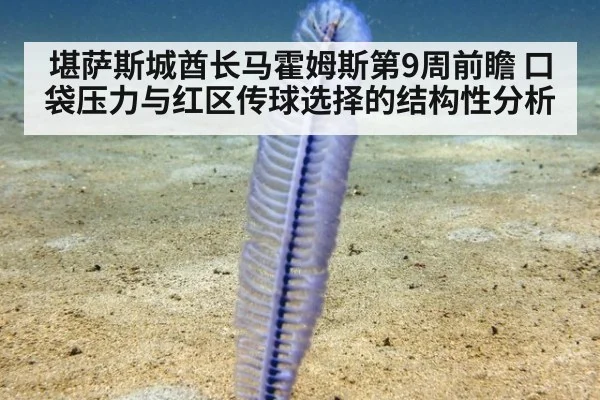 堪萨斯城酋长马霍姆斯第9周前瞻 口袋压力与红区传球选择的结构性分析